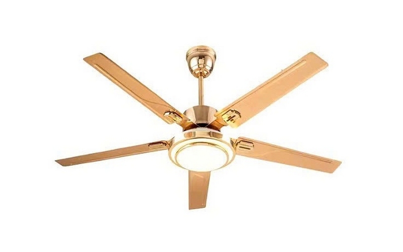 Đánh giá quạt Daikisu ảnh 3