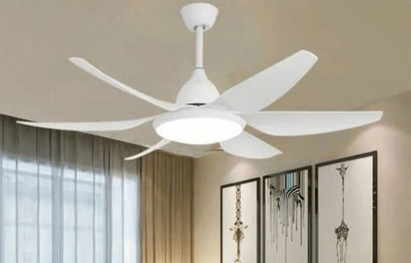 Đánh giá quạt Daikisu ảnh 5