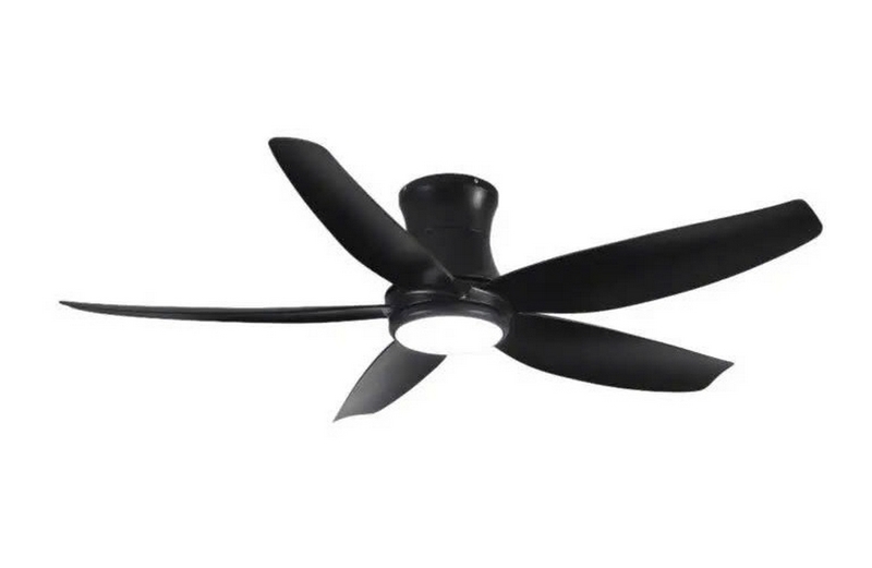 Đánh giá quạt Daikisu ảnh 6