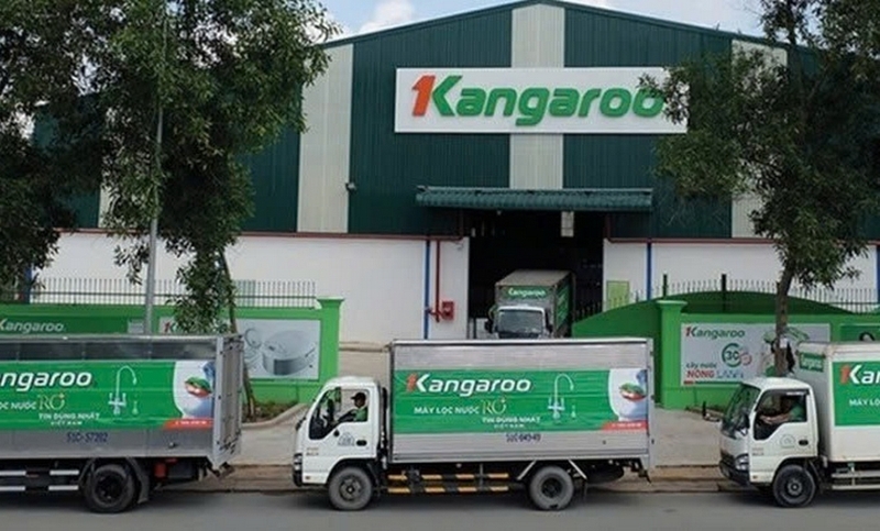 Đánh giá tủ đông Kangaroo ảnh 1