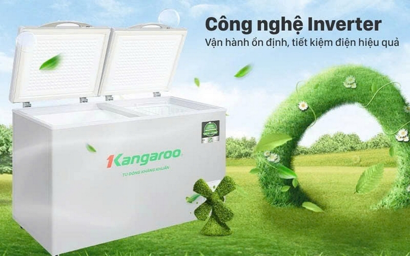 Đánh giá tủ đông Kangaroo ảnh 2
