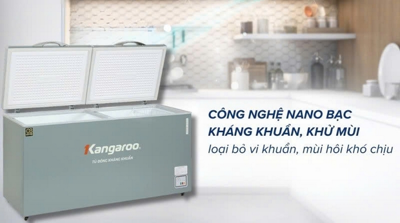 Đánh giá tủ đông Kangaroo ảnh 4