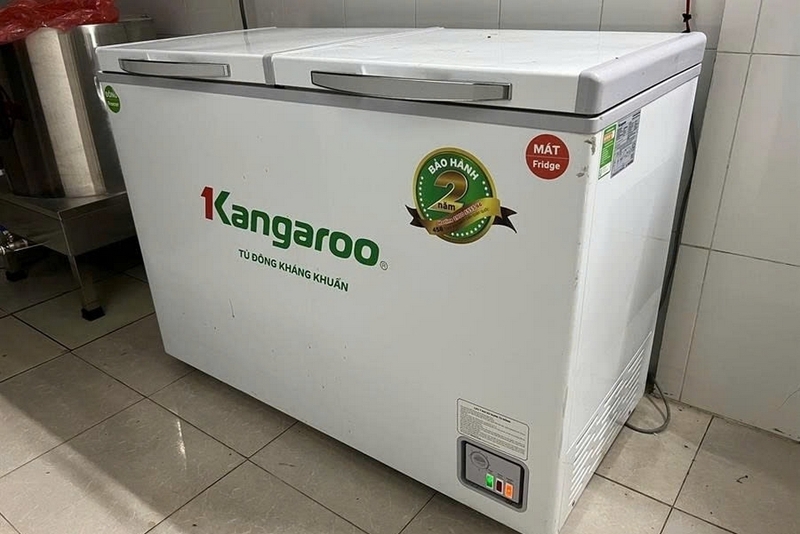 Đánh giá tủ đông Kangaroo ảnh 5