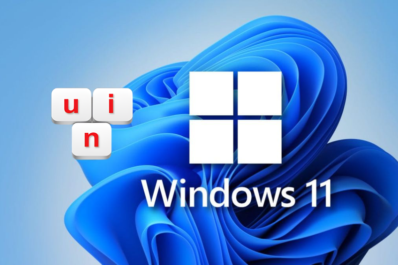 Dấu hiệu nhận biết lỗi không gõ được tiếng Việt Win 11