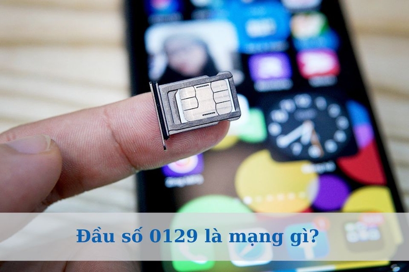 Đầu số 0129 là mạng gì