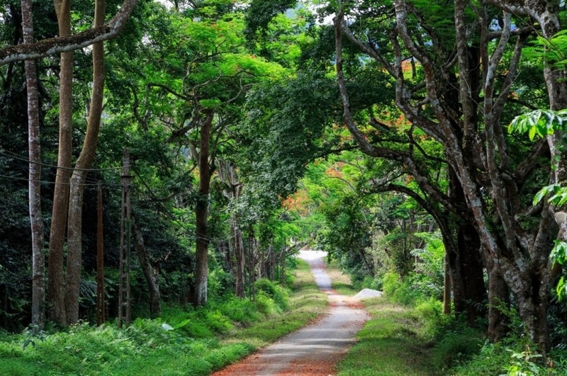 Đi đâu gần Hà Nội cuối tuần ảnh 1
