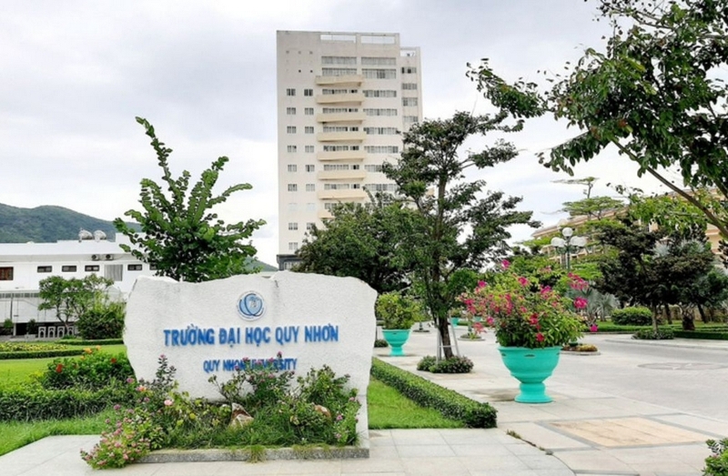 Điểm chuẩn Đại học Quy Nhơn 2026 ảnh 3