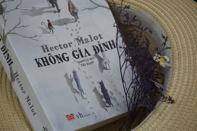 Điểm nhìn trần thuật là gì 6.jpg