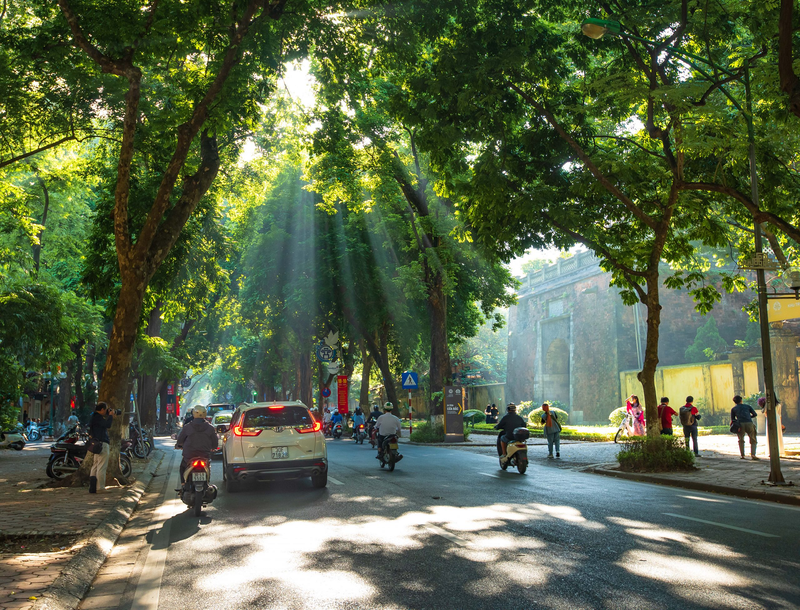 Lặp lại nhóm thanh