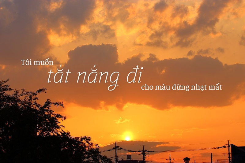 Ngữ cảnh biểu cảm