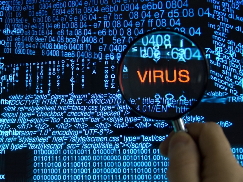 Diet-Virus-08.jpg