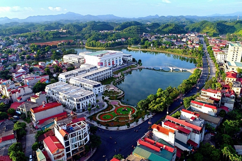 Phân bố theo vùng miền