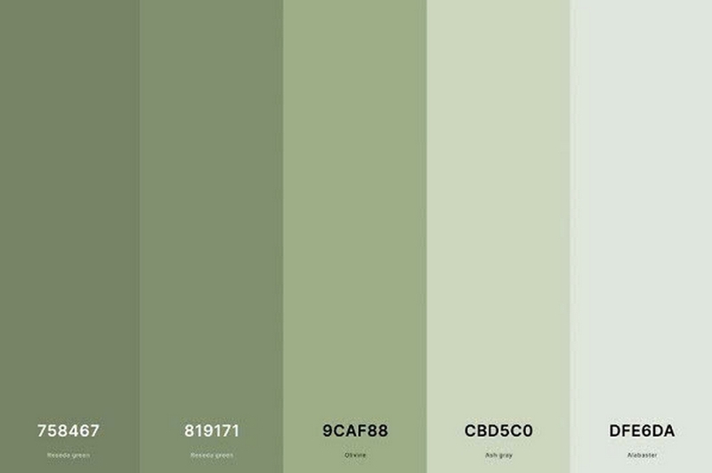 Earth tone ảnh 3