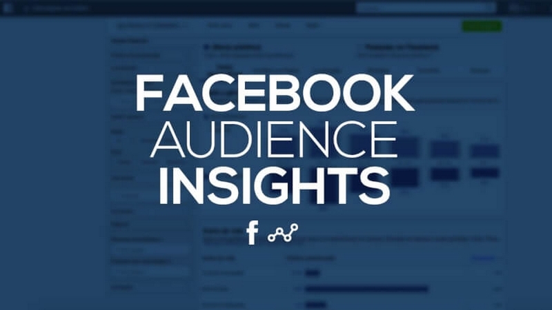 facebook audience insight ảnh 1