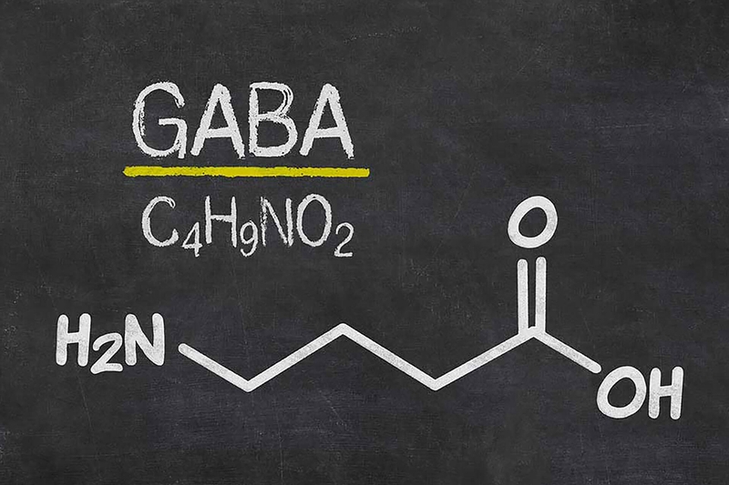 GABA là gì? Tìm hiểu về chất dẫn truyền thần kinh quan trọng