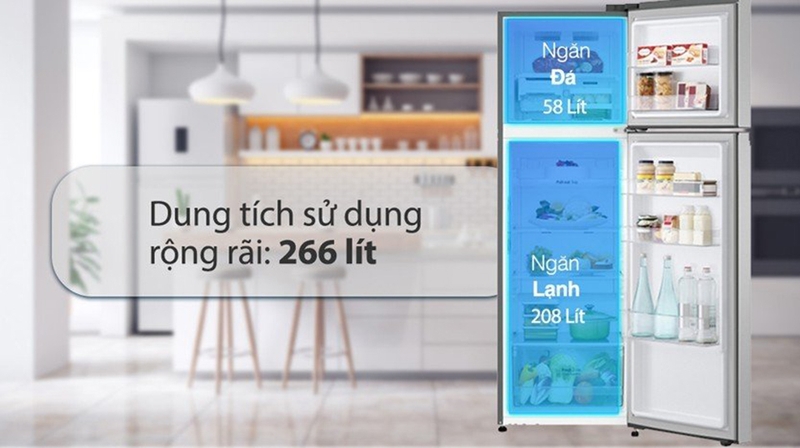 Tủ lạnh LG Inverter 266 Lít GV-B262PS