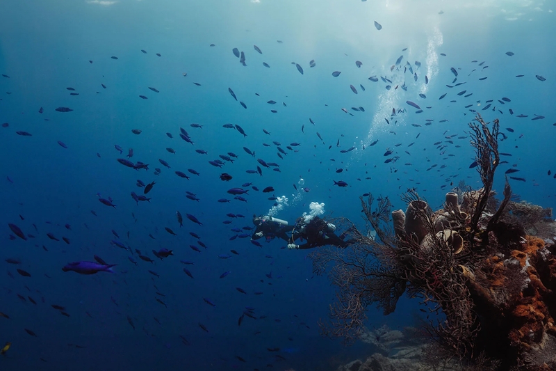 Chống nước chuyên nghiệp 10ATM – Độ sâu lặn lên tới 40m