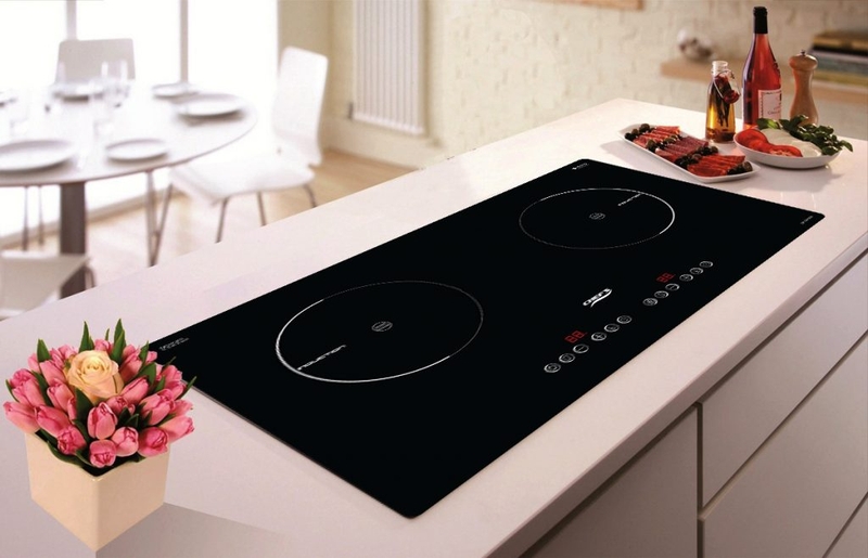 Giá các loại bếp từ 4.jpg