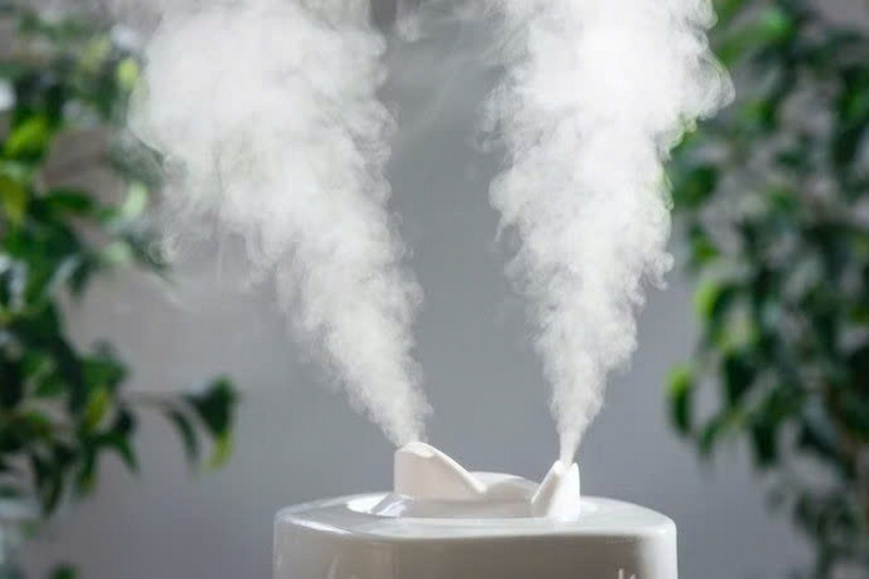 Giá máy phun sương tạo độ ẩm bao nhiêu ảnh 3