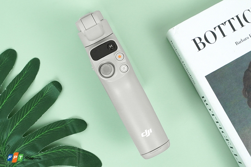 Gimbal (ảnh 2)