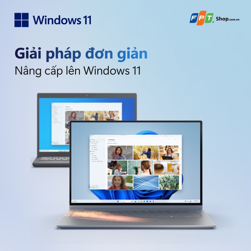 Windows 11