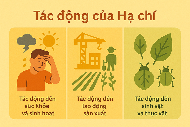 Tác động của tiết Hạ chí đến đời sống con người