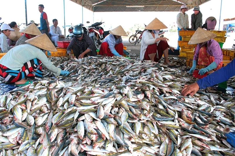 Hải sản là gì?