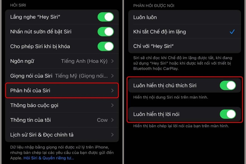 Hiển thị nội dung Siri trên màn hình