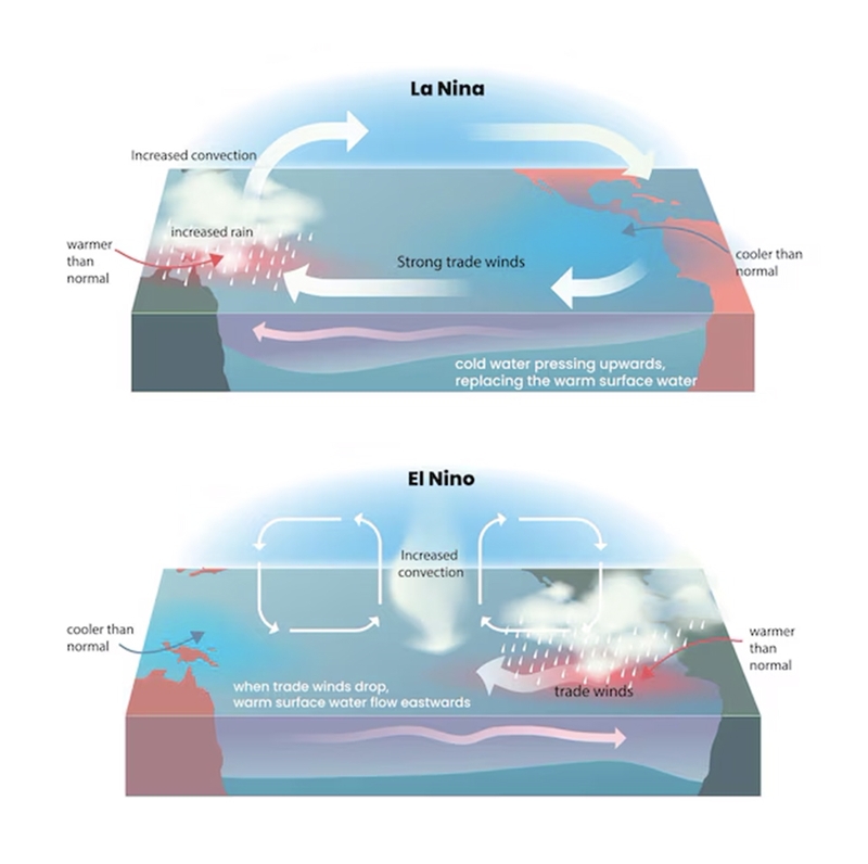 Sự khác biệt với El Nino