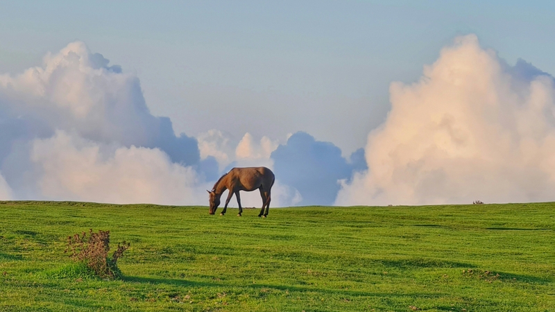 Hình ảnh phong cảnh tâm trạng buồn (11)
