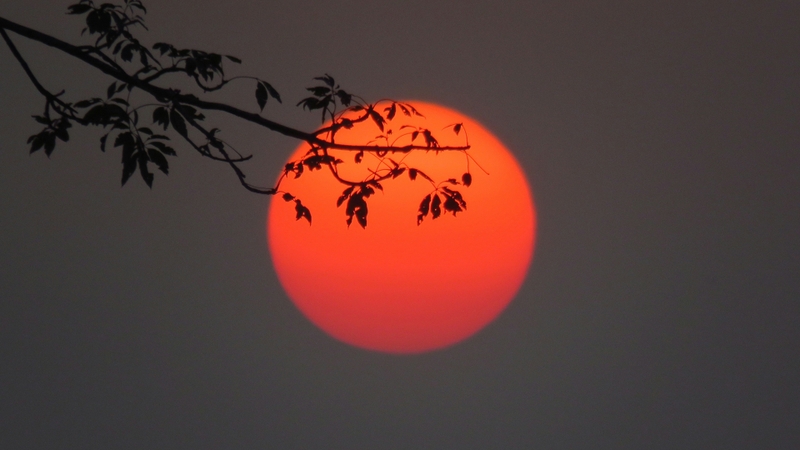 Hình ảnh phong cảnh tâm trạng buồn (12)