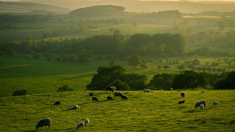 Hình ảnh phong cảnh tâm trạng buồn (13)
