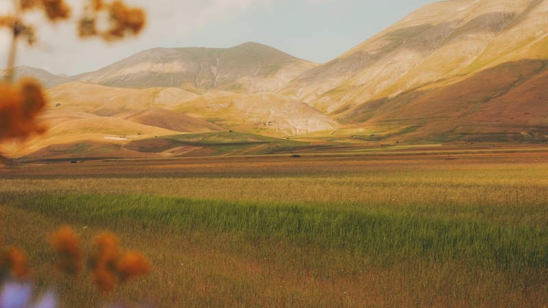 Hình ảnh phong cảnh tâm trạng buồn (14)