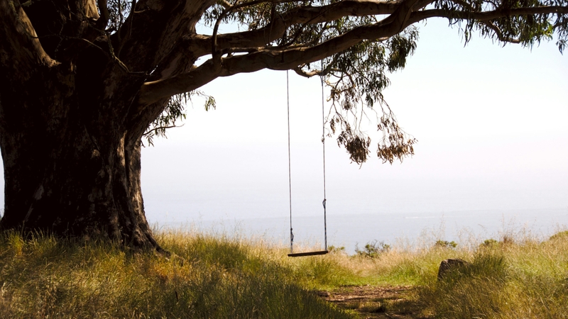 Hình ảnh phong cảnh tâm trạng buồn (15)