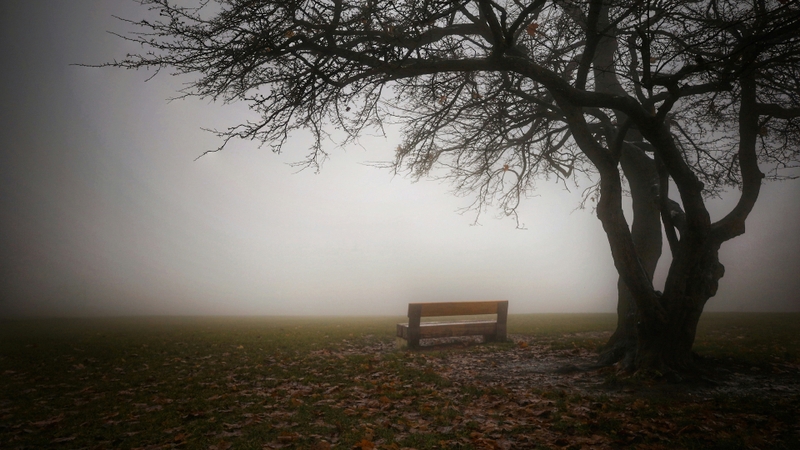 Hình ảnh phong cảnh tâm trạng buồn (16)