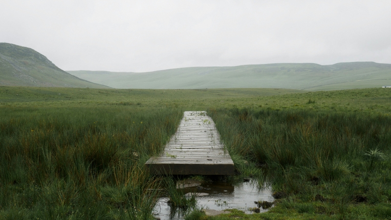 Hình ảnh phong cảnh tâm trạng buồn (17)