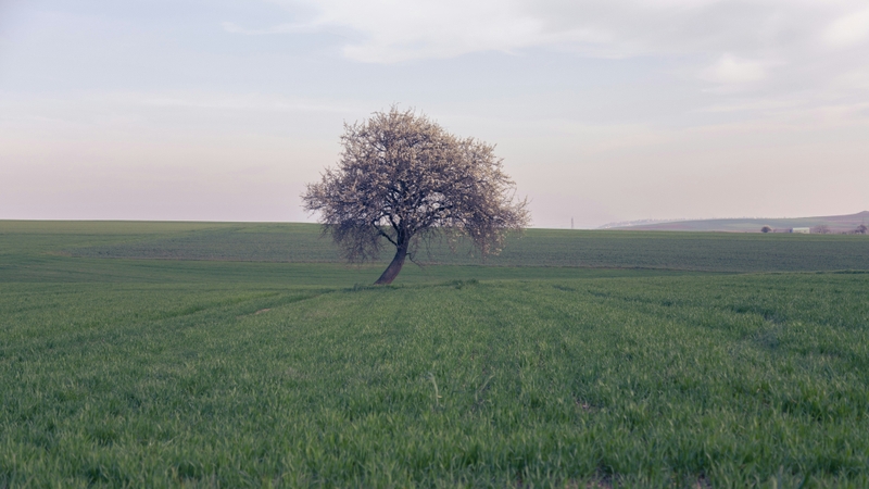 Hình ảnh phong cảnh tâm trạng buồn (20)