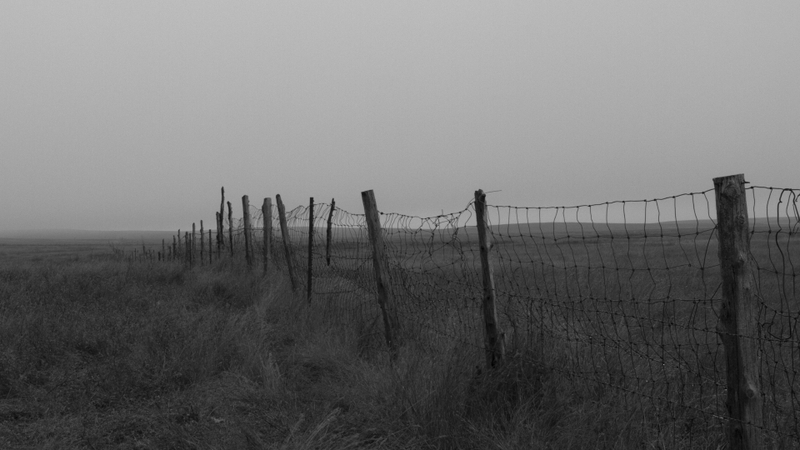 Hình ảnh phong cảnh tâm trạng buồn (19)