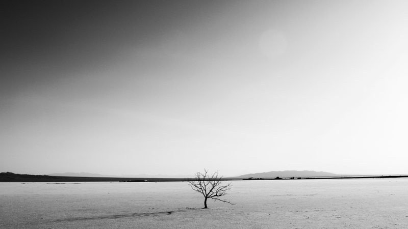 Hình ảnh phong cảnh tâm trạng buồn (31)