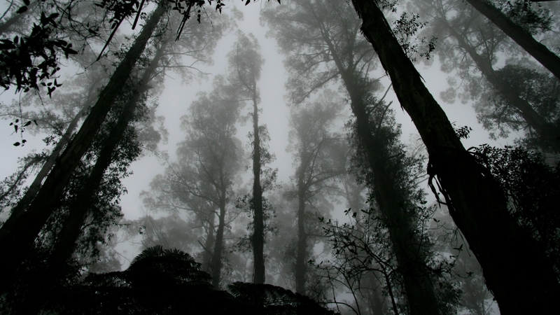 Hình ảnh phong cảnh tâm trạng buồn (32)