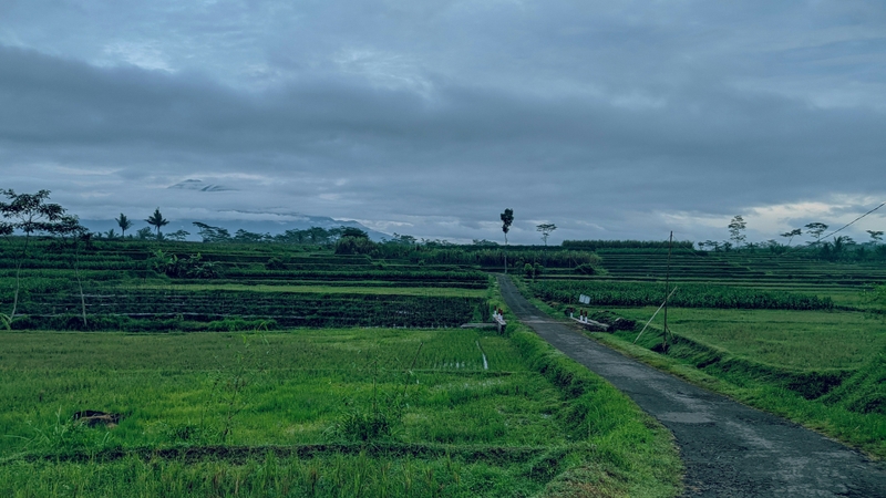 Hình ảnh phong cảnh tâm trạng buồn (4)