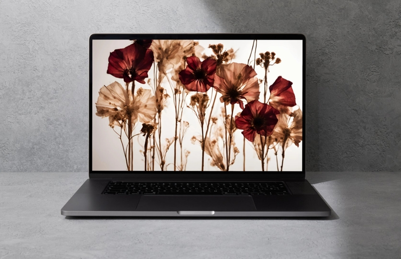 Hình nền MacBook 4K (1)