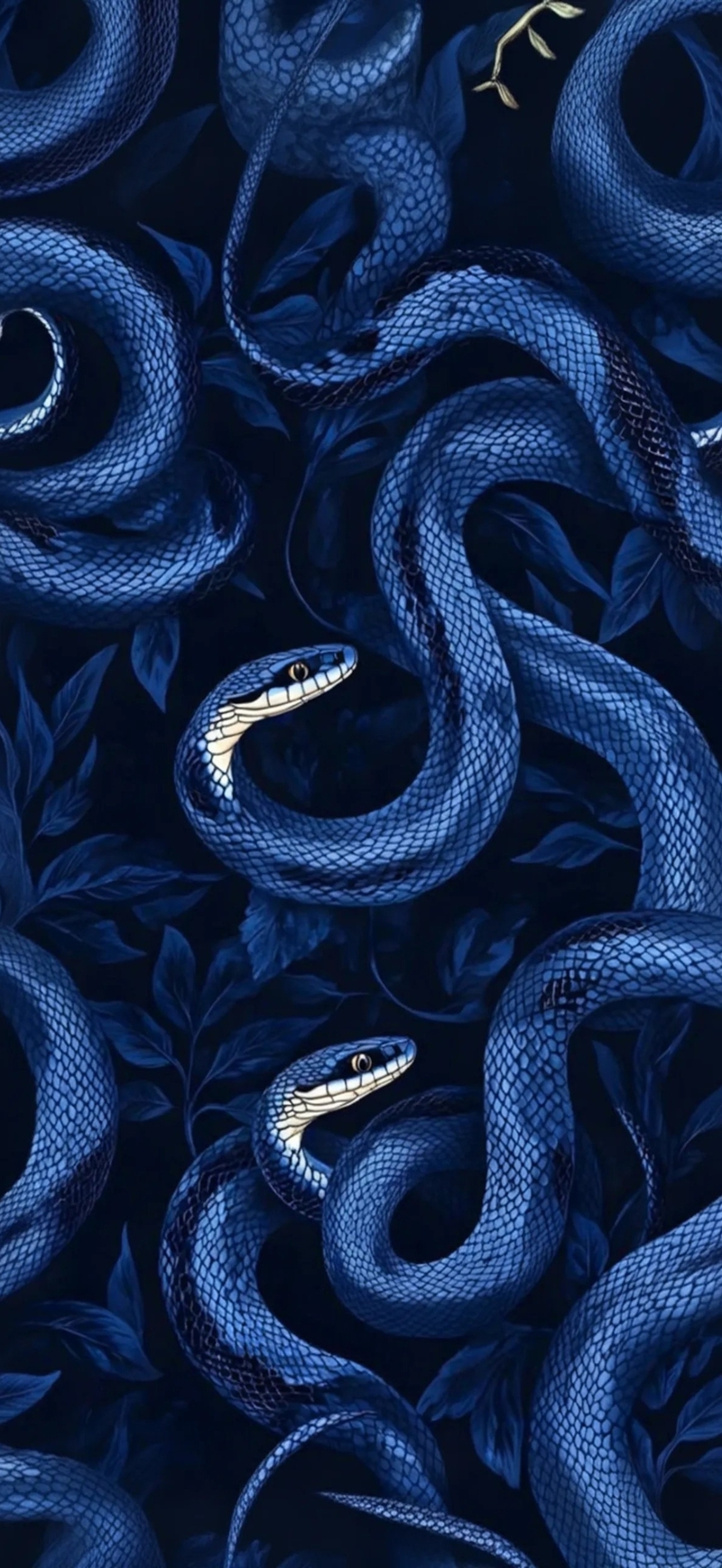 Hình nền con rắn (4)