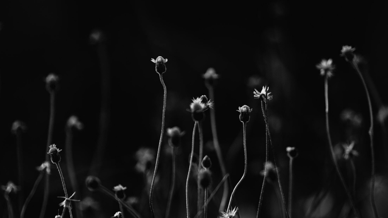 Hình nền đen buồn (11)