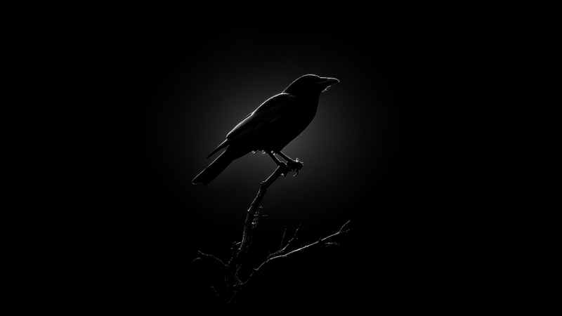 Hình nền đen buồn (18)