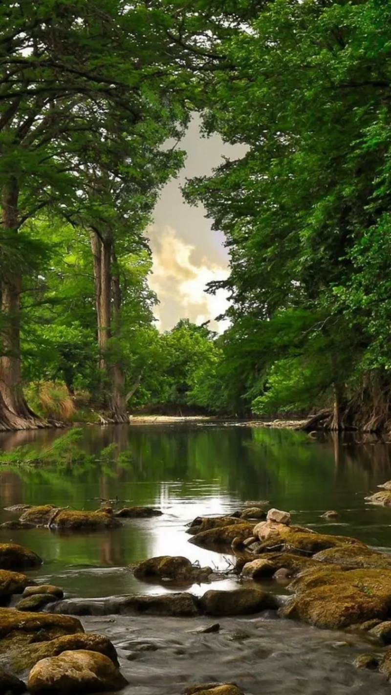 Hình nền đẹp 8D ảo (10)