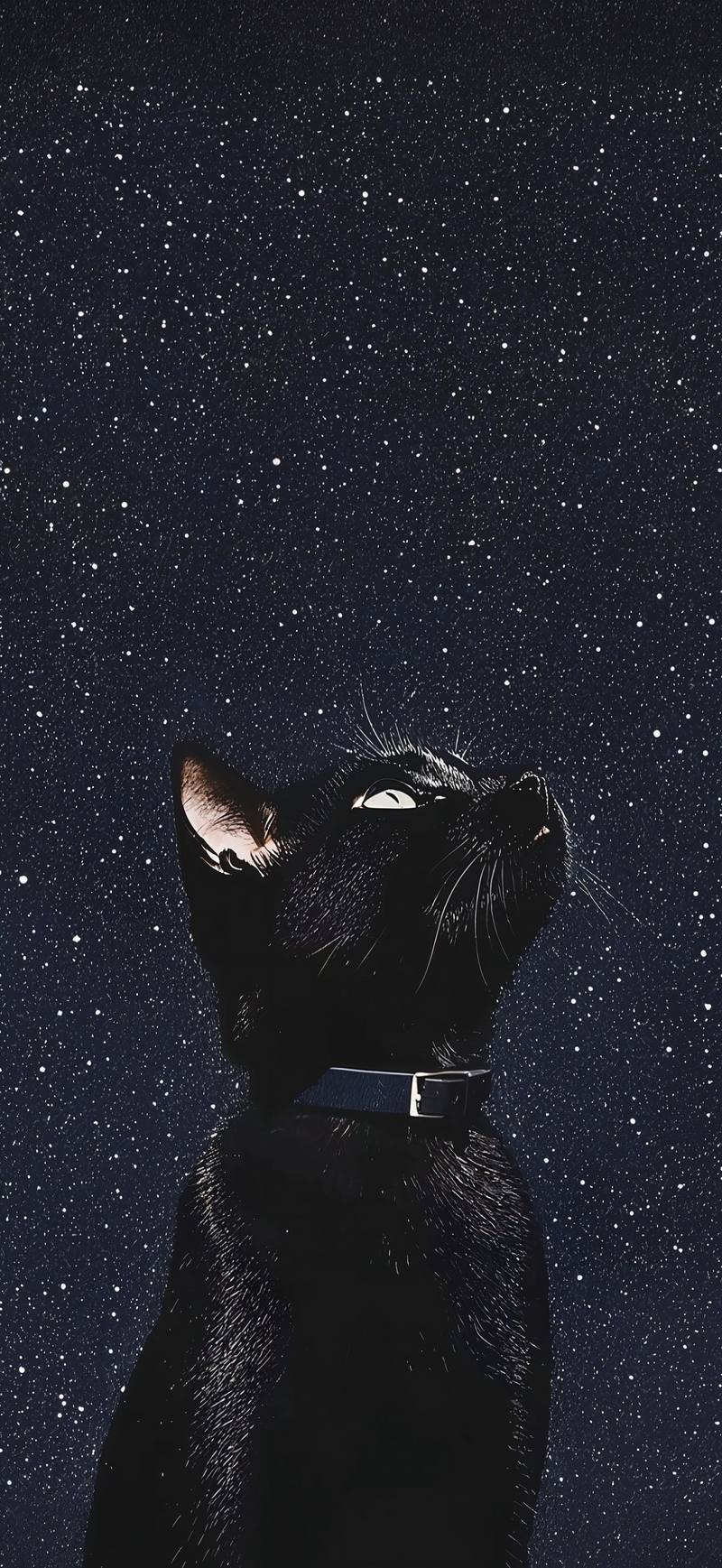 Hình nền iPhone Air (15)