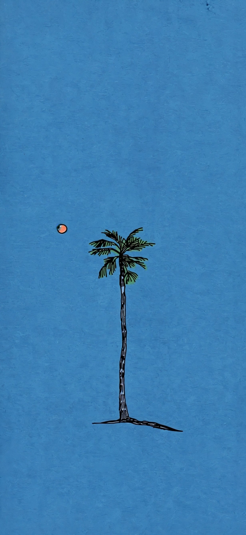 Hình nền iPhone Air (23)