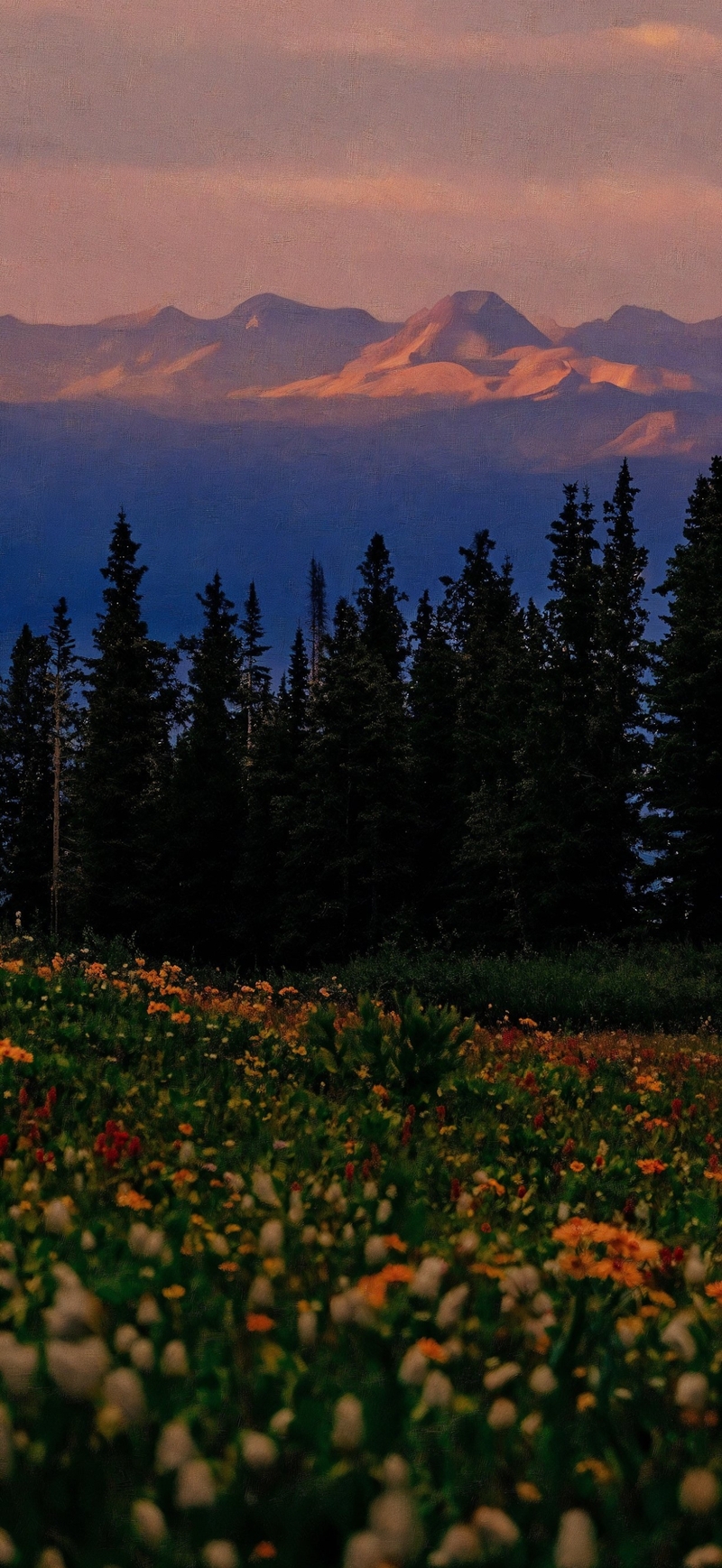 Hình nền iPhone Air (7)