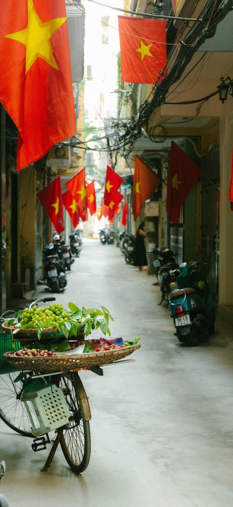 Hình nền ngôi sao (30)